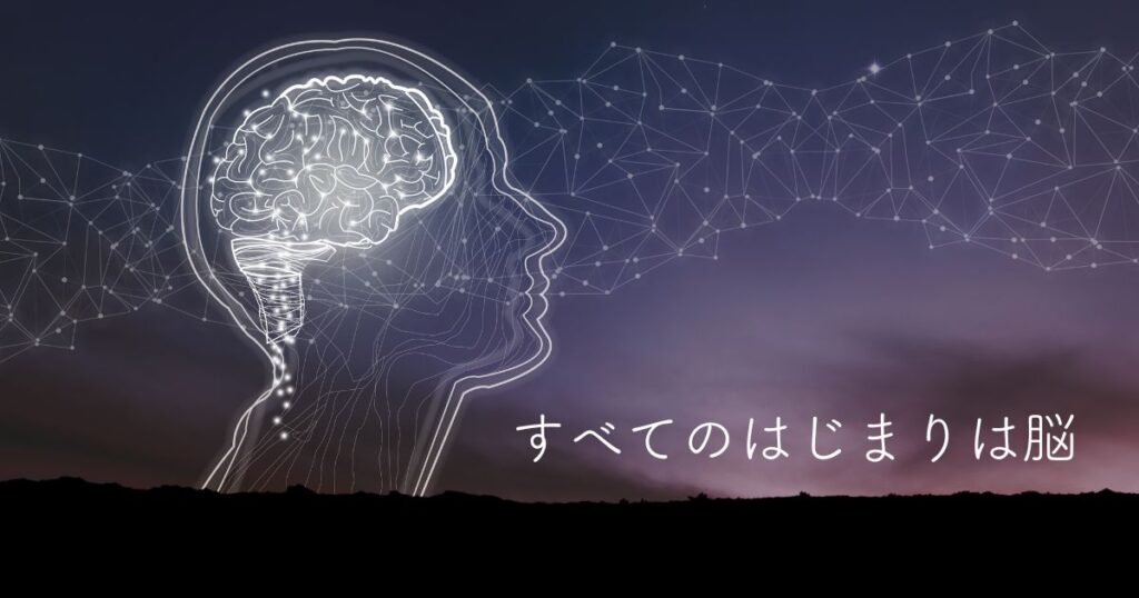 4ヶ月目・脳・1