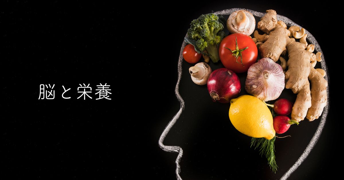 4ヶ月目・脳・2