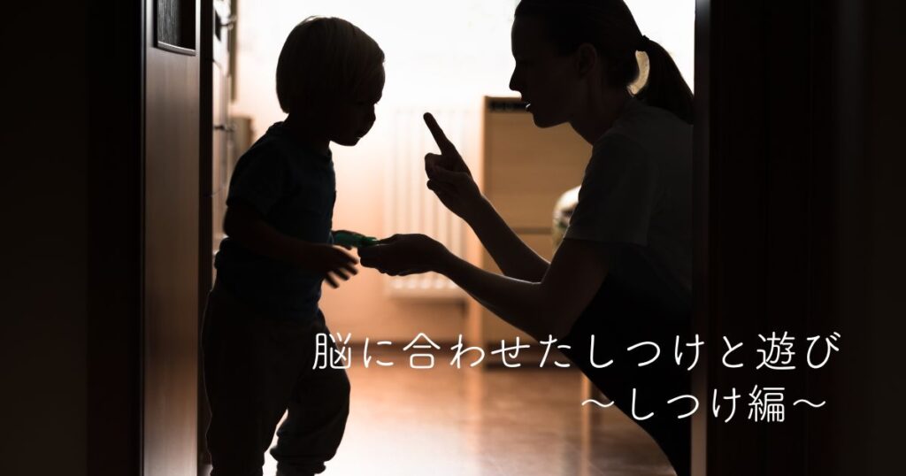 4ヶ月目・脳・3