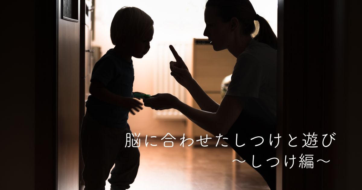 4ヶ月目・脳・3